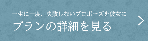 プラン詳細を見る
