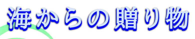 【本店限定】『海からの贈り物』展は2月6日(金)～8日(日)の3日間開催